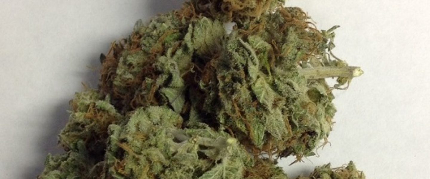 orange crush marijuana strain