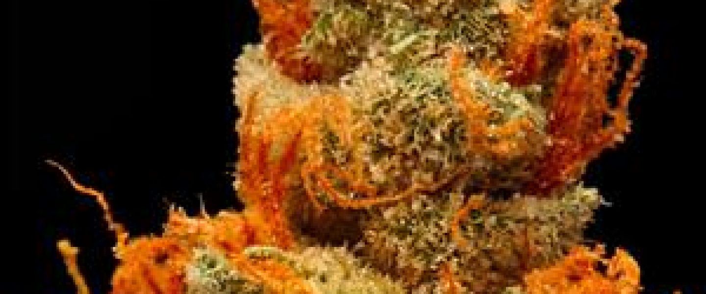 orange haze marijuana strain