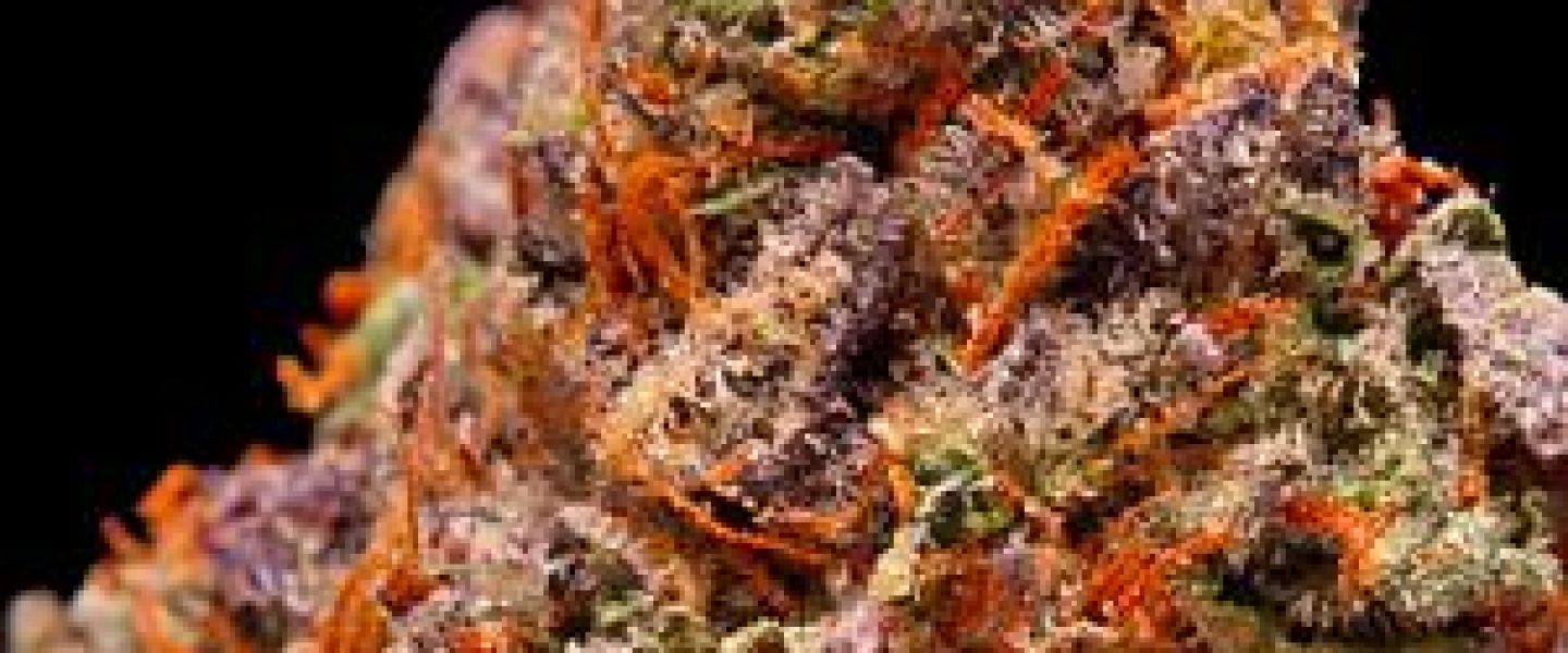 pecan bubble marijuana strain