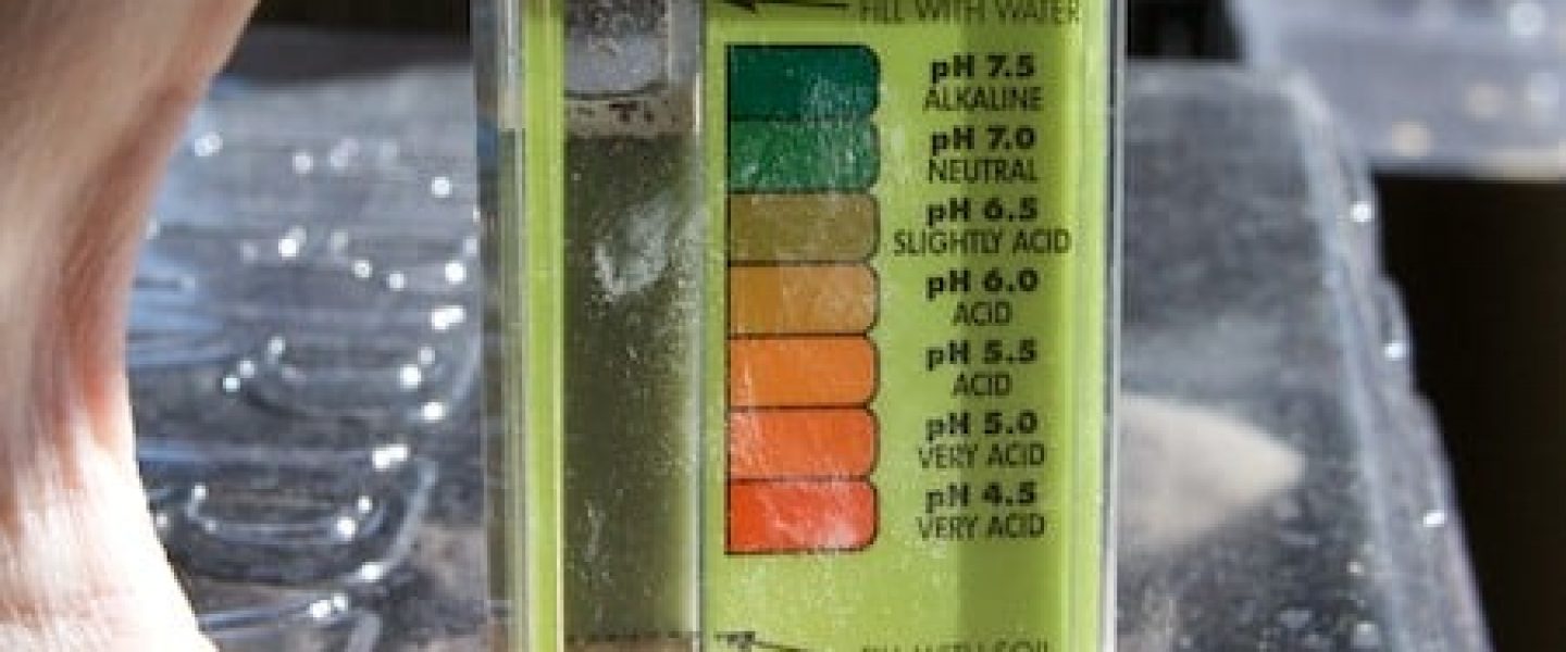 ph test marijuana