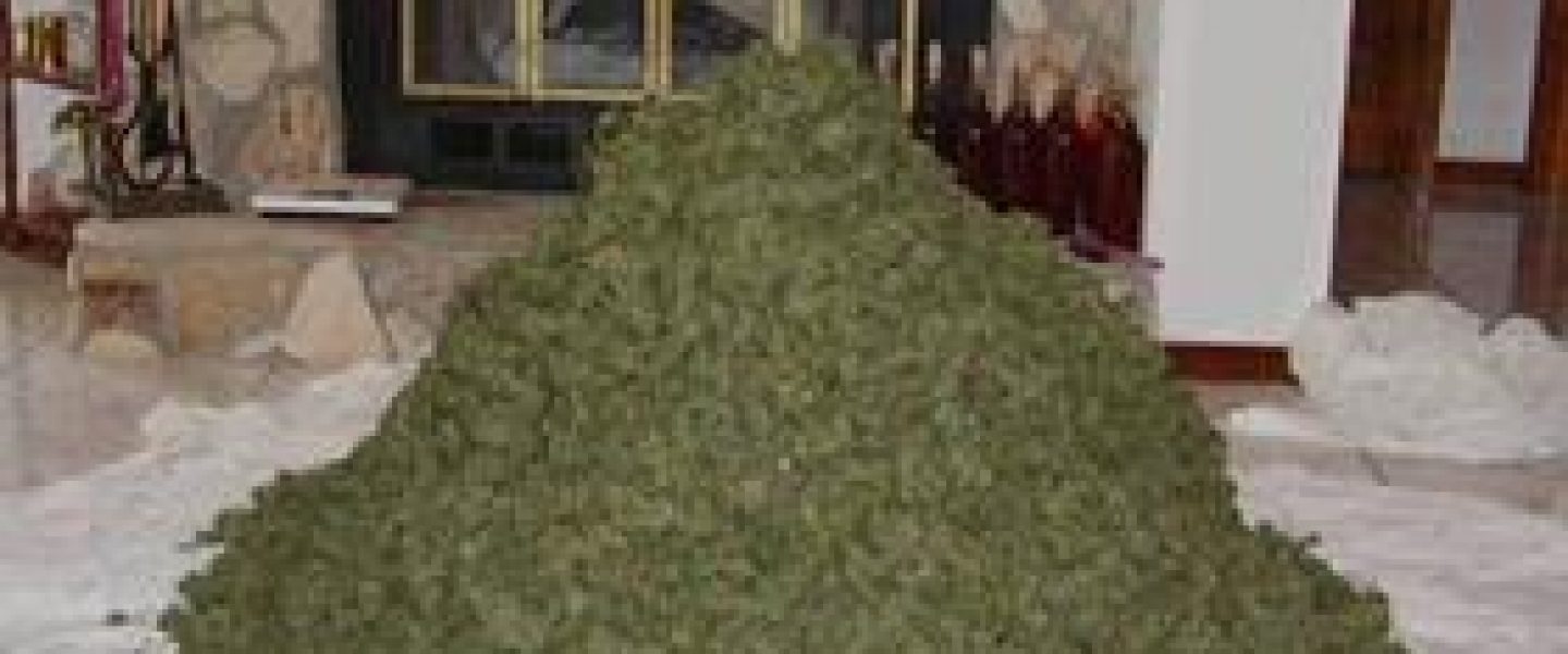 pile of weed