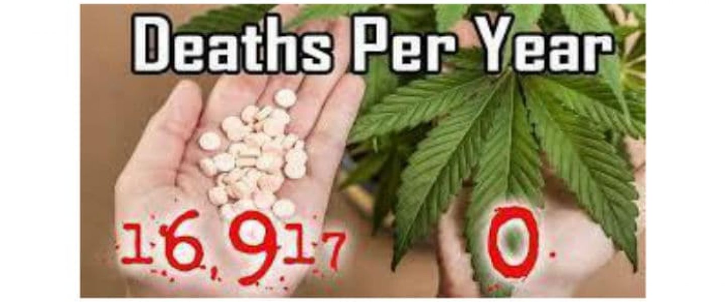 marijuana strains for managing pain, pain pills, medical marijuana