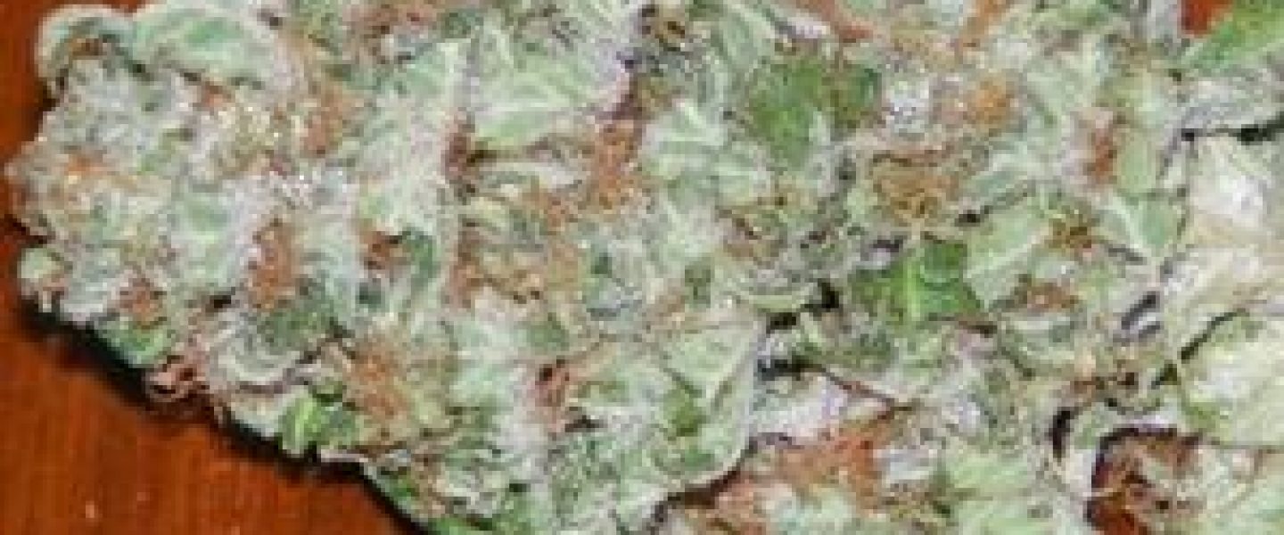 pineapple kush marijuana strain