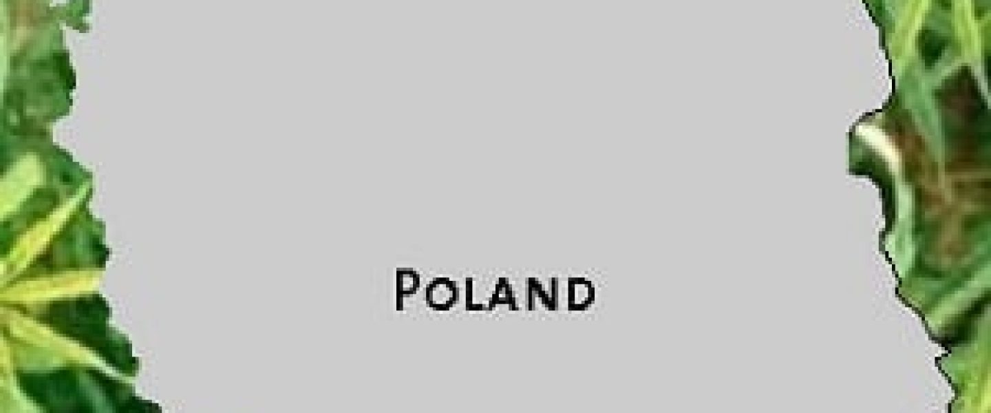 Poland Marijuana