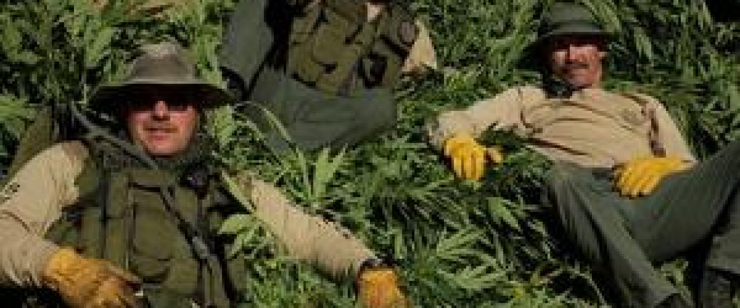trespass grows marijuana federal bill