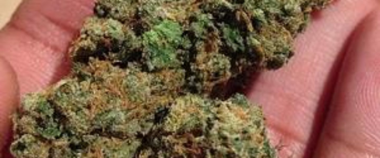 Presidential OG Marijuana Strain Review And Pictures The Weed Blog