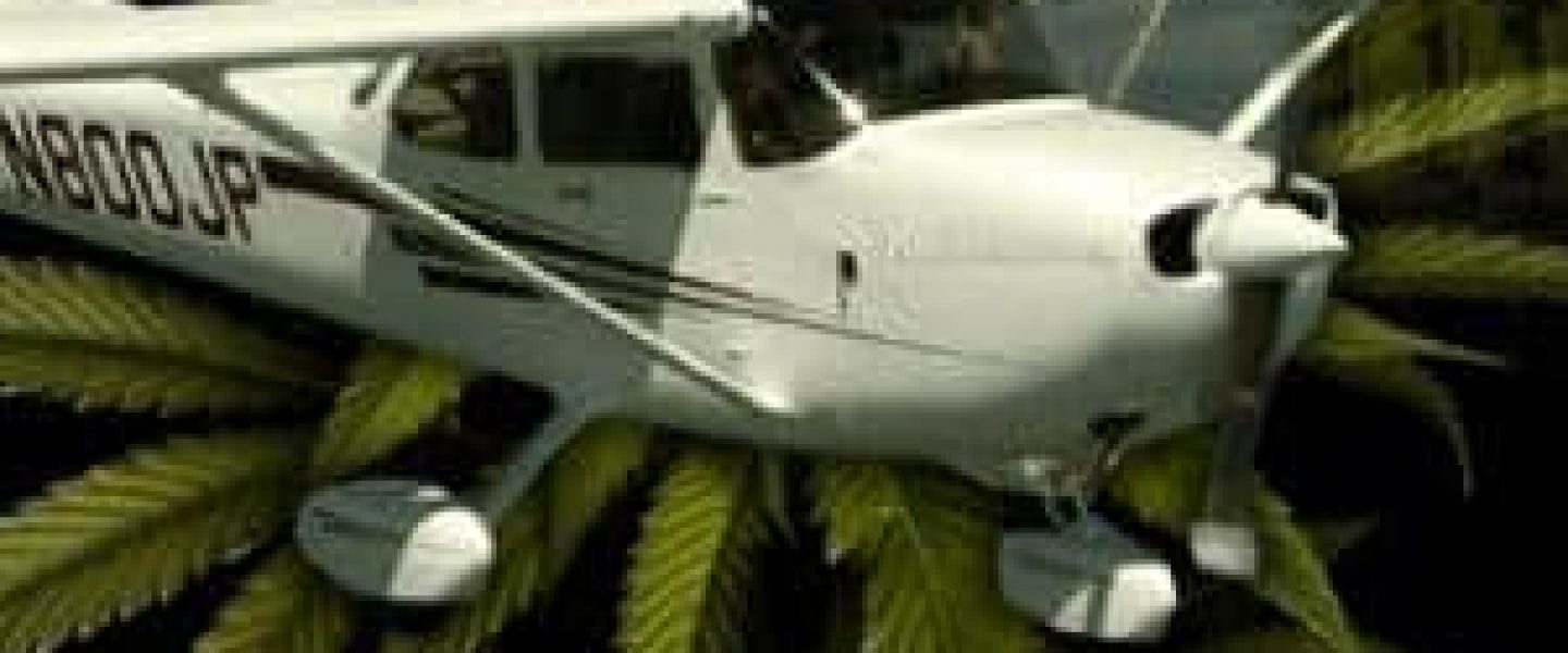 private pilots marijuana search warrantless