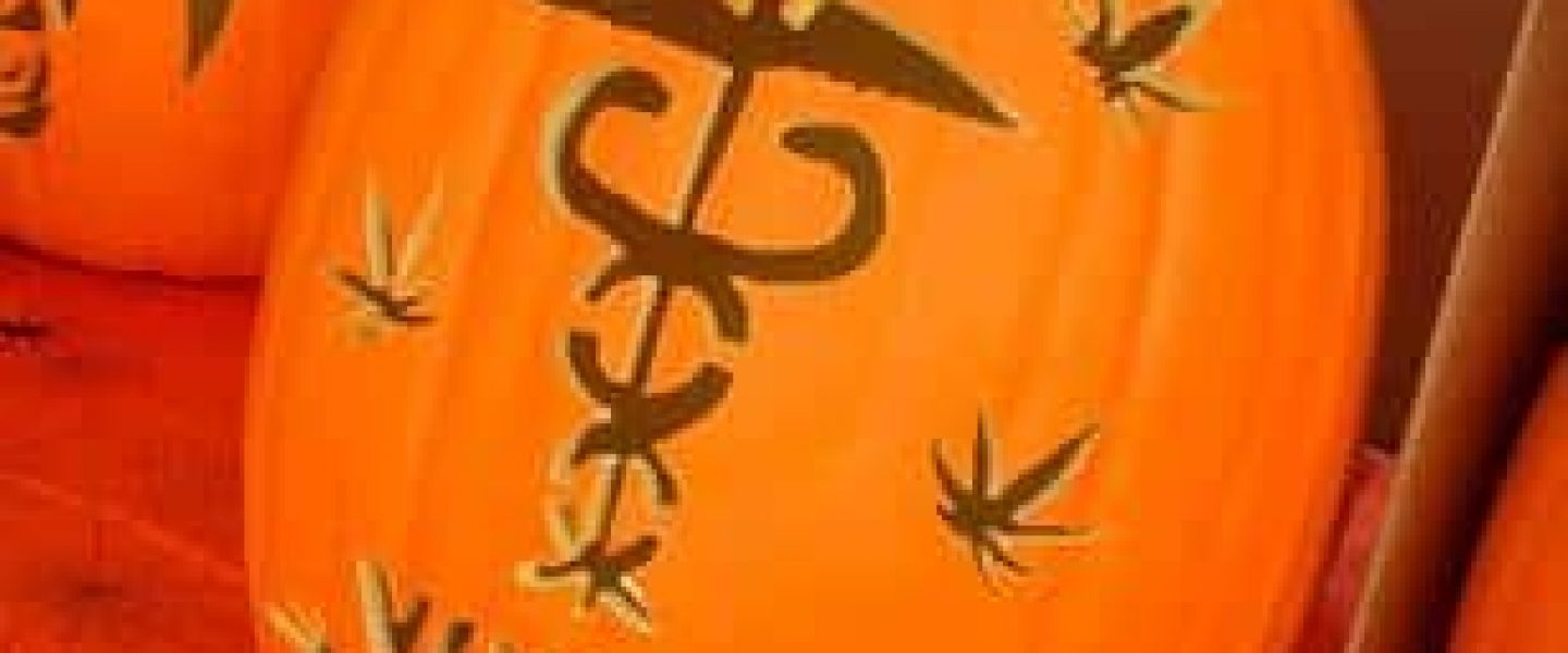 marijuana pumpkin