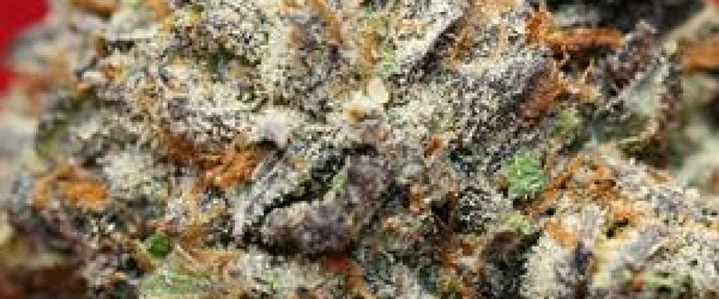 purple bubba marijuana strain