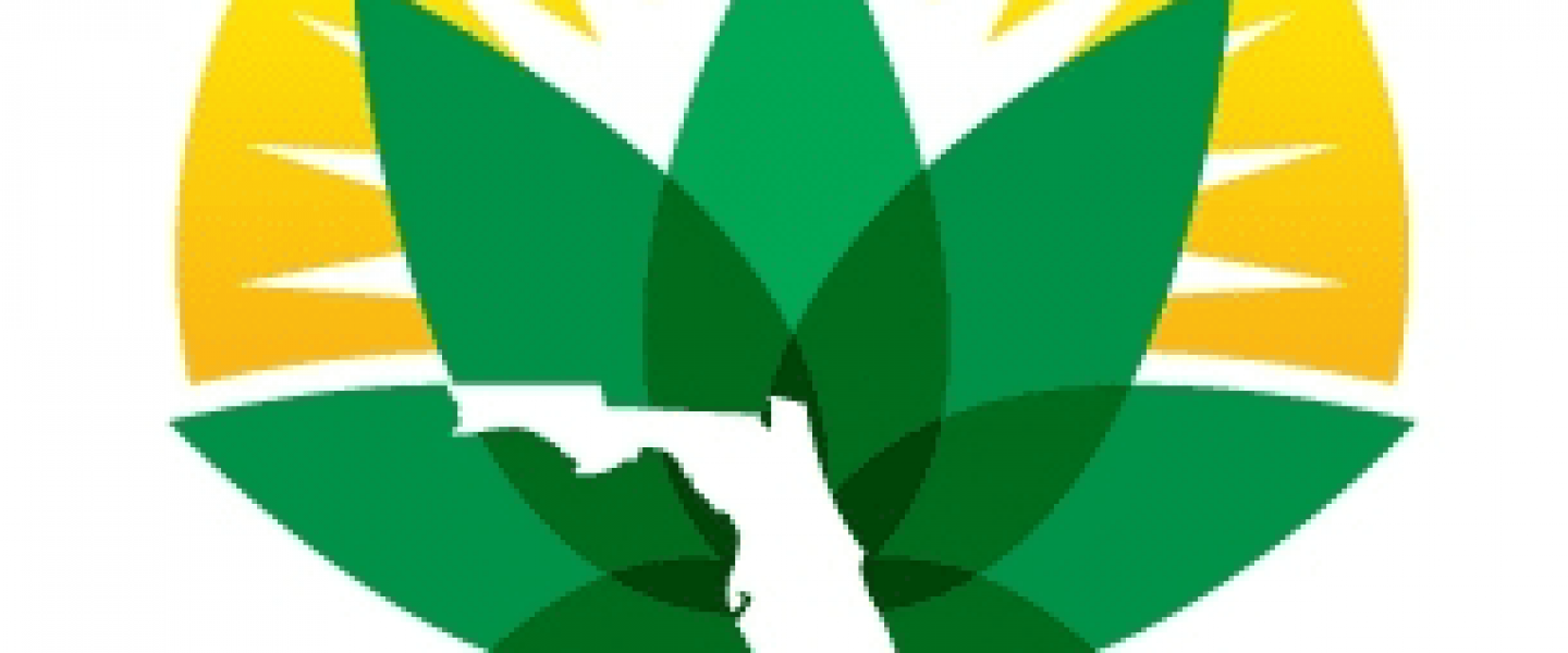 regulate florida marijuana legalization