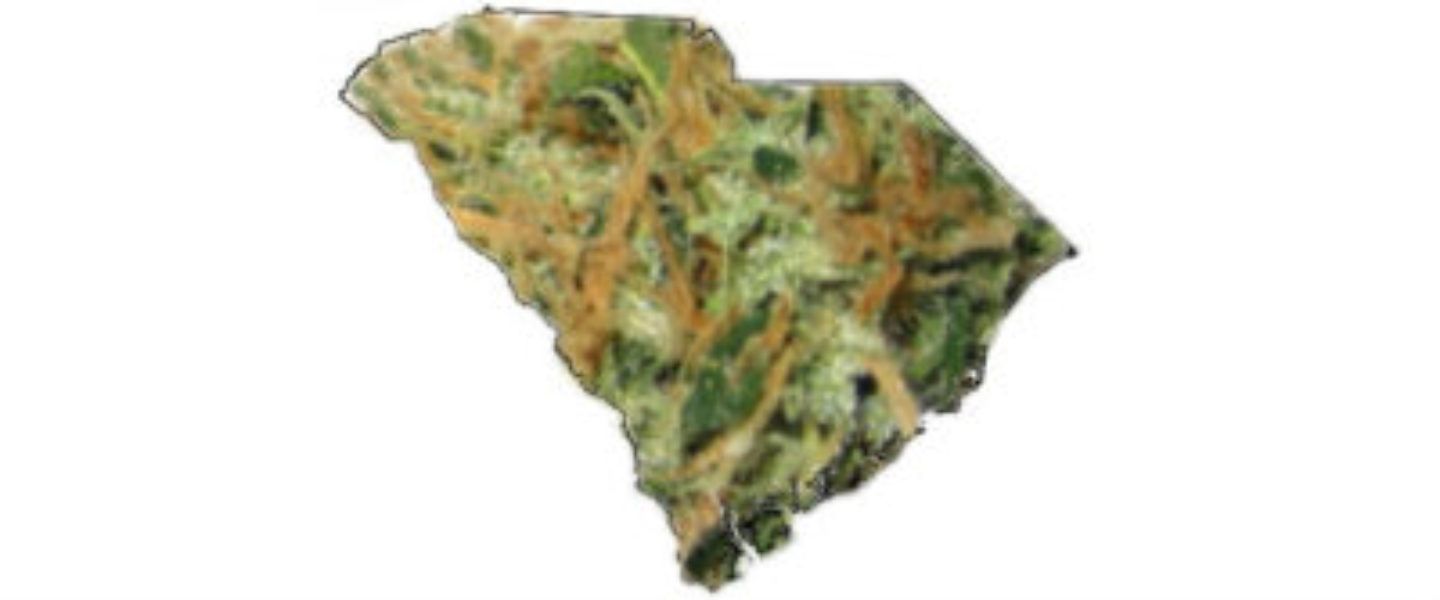 Bills to Legalize Medical Cannabis Introduced in South Carolina
