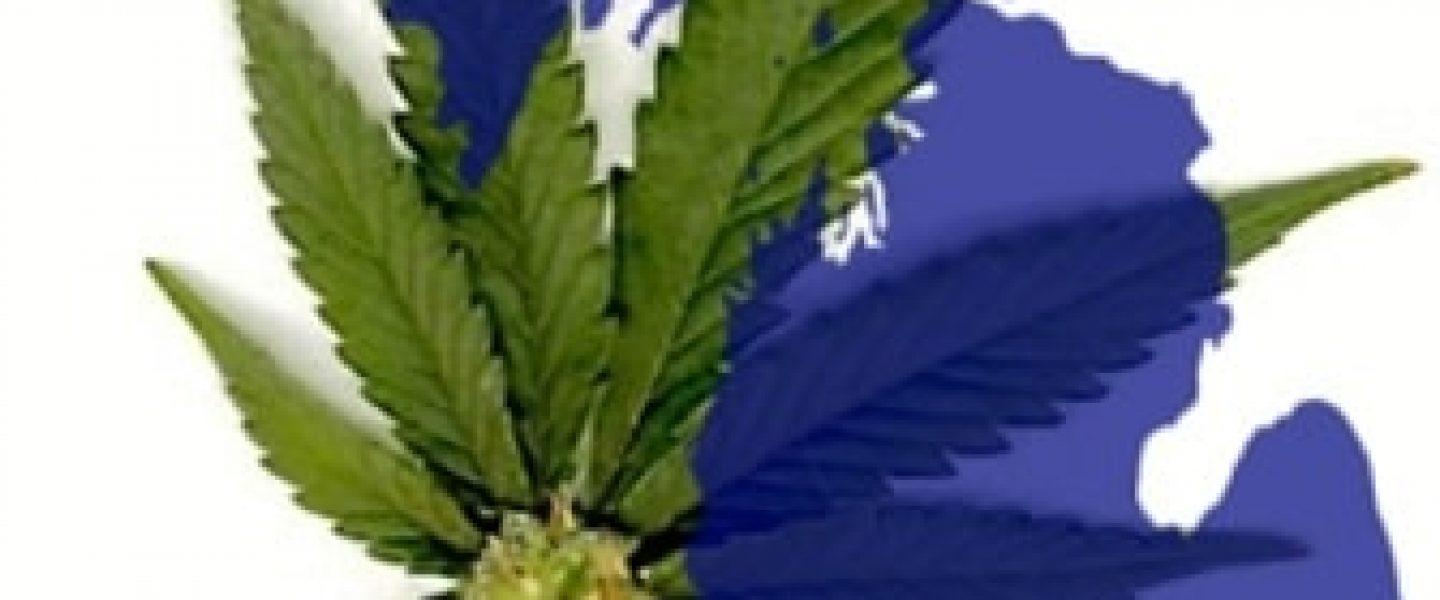 safer michigan marijuana