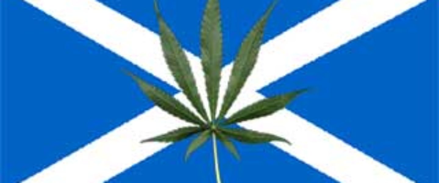SNP, scotland marijuana
