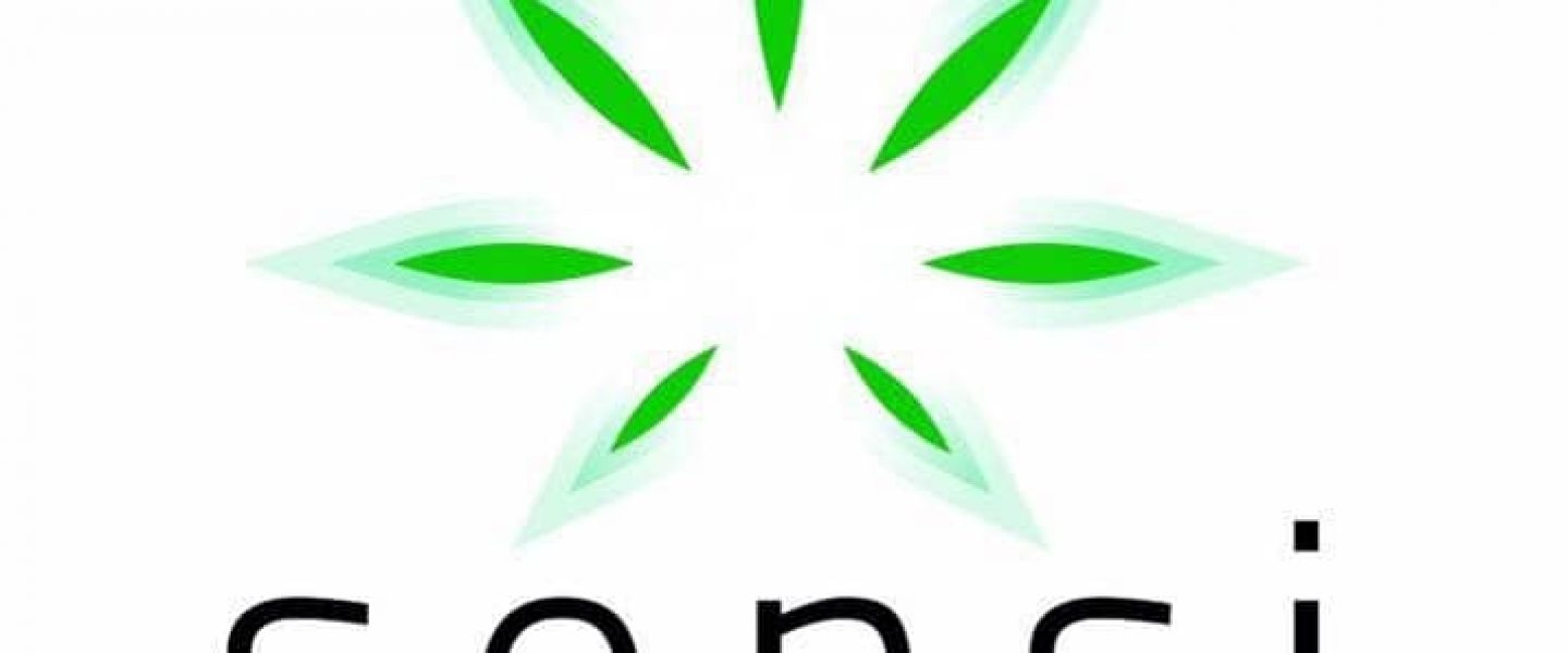 sensi media group