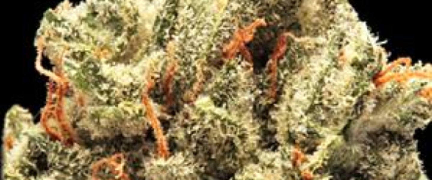 skittles marijuana strain