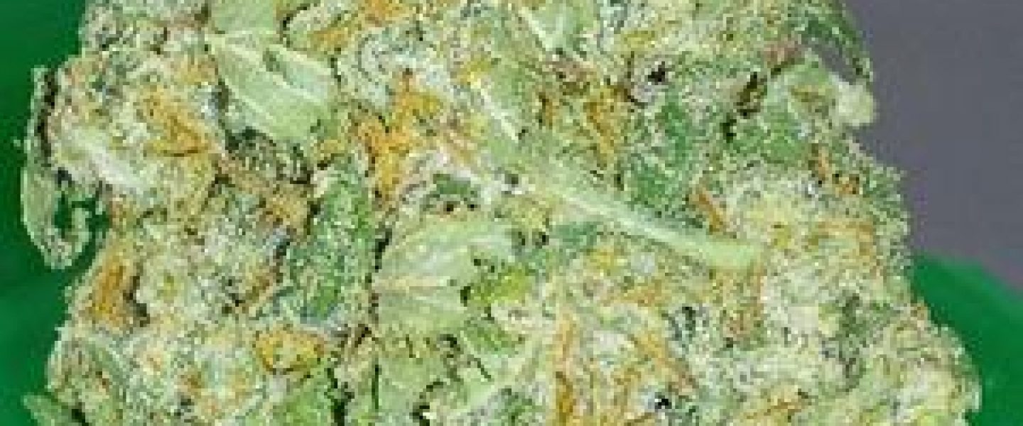skywalker marijuana strain