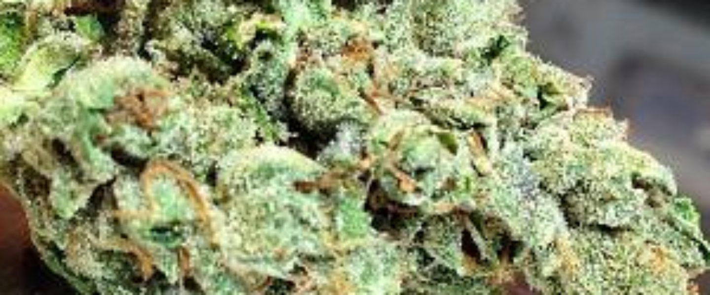 Our Skywalker OG review thoroughly describes this beautiful marijuana strain.