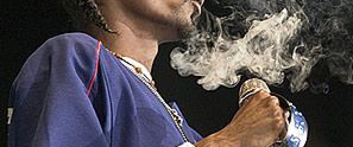 Snoop Dogg dixie elixirs reincarnation