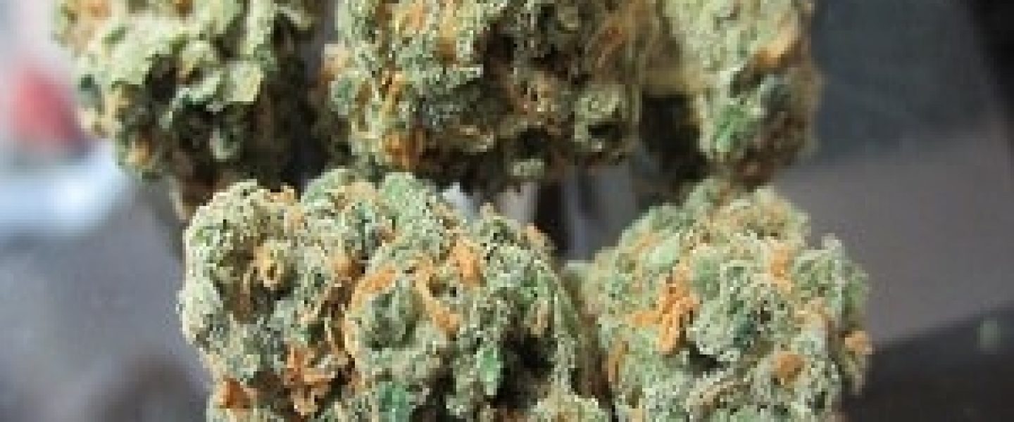 snowcap marijuana strain