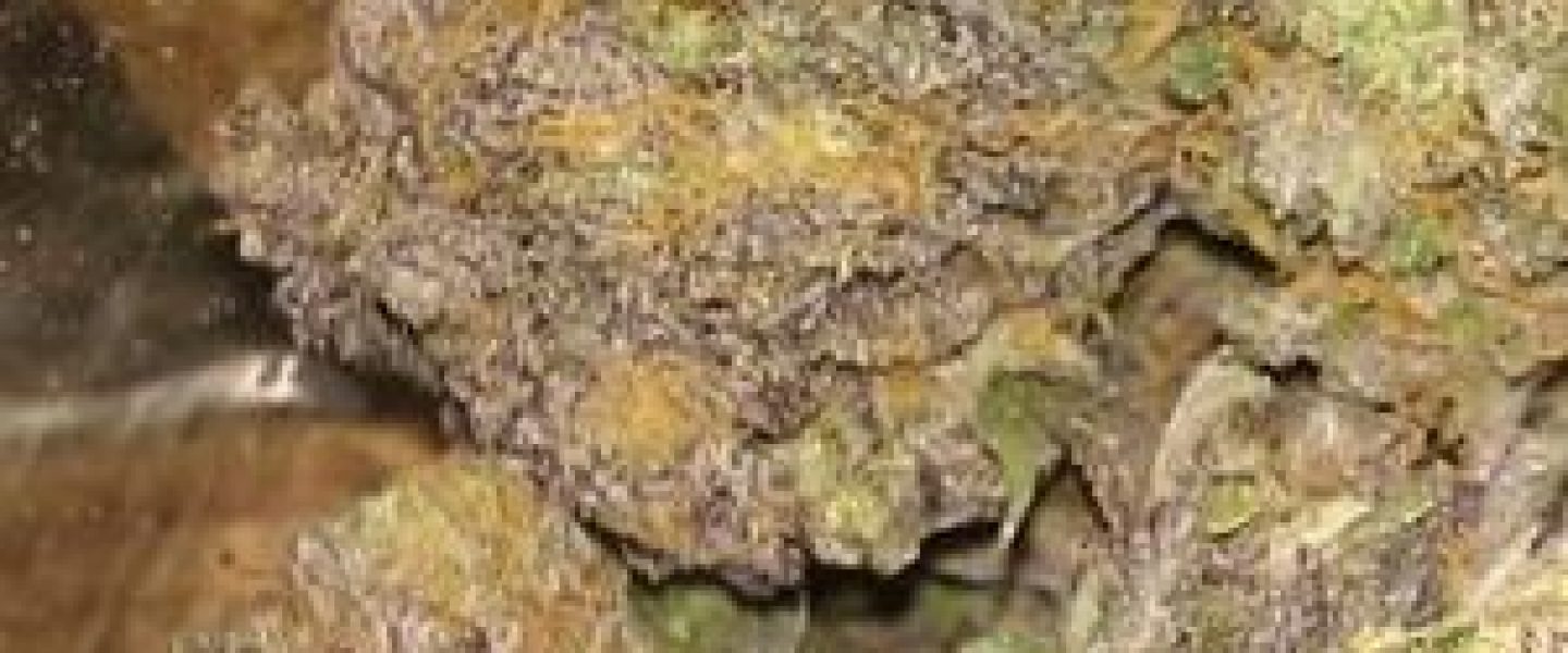 sour grape marijuana strain