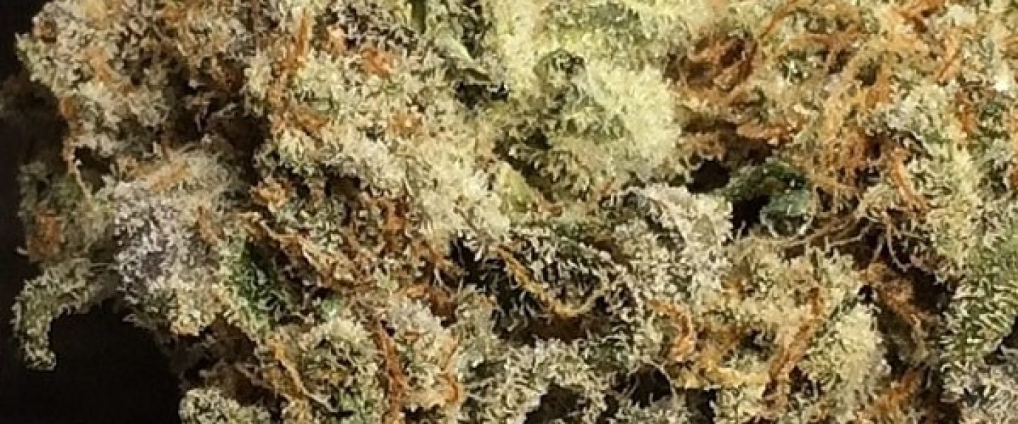 space queen marijuana strain