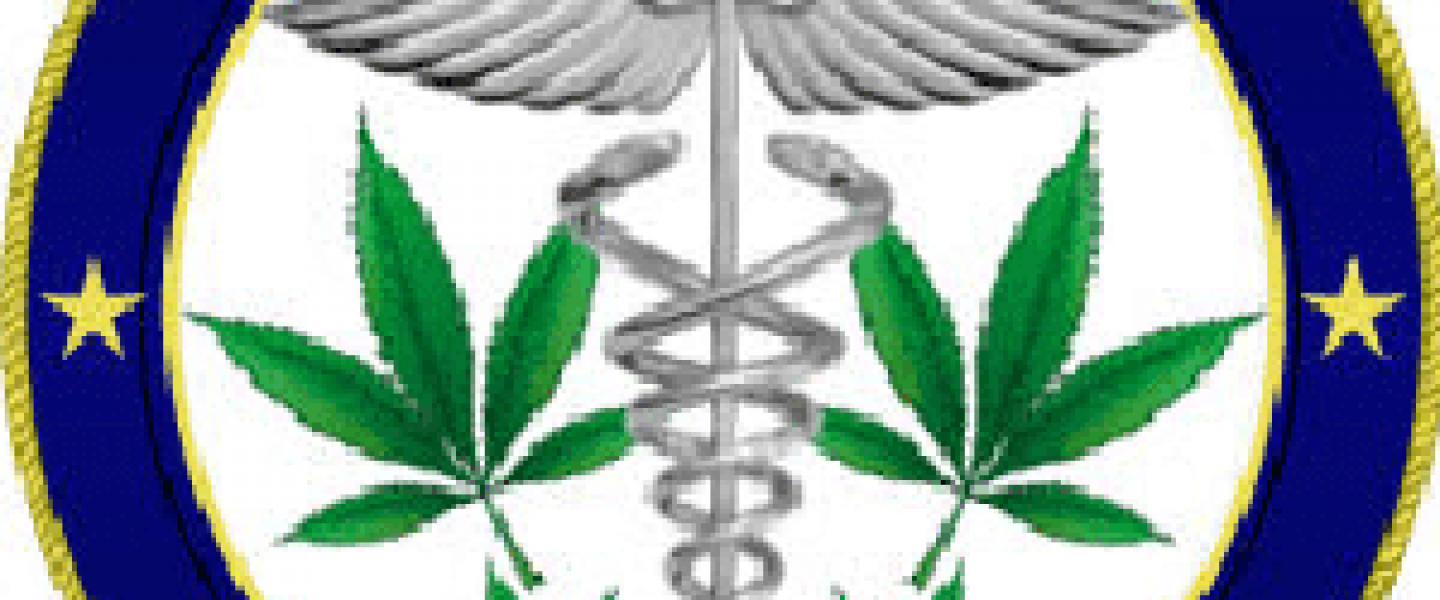 state of michigan medical cannabis