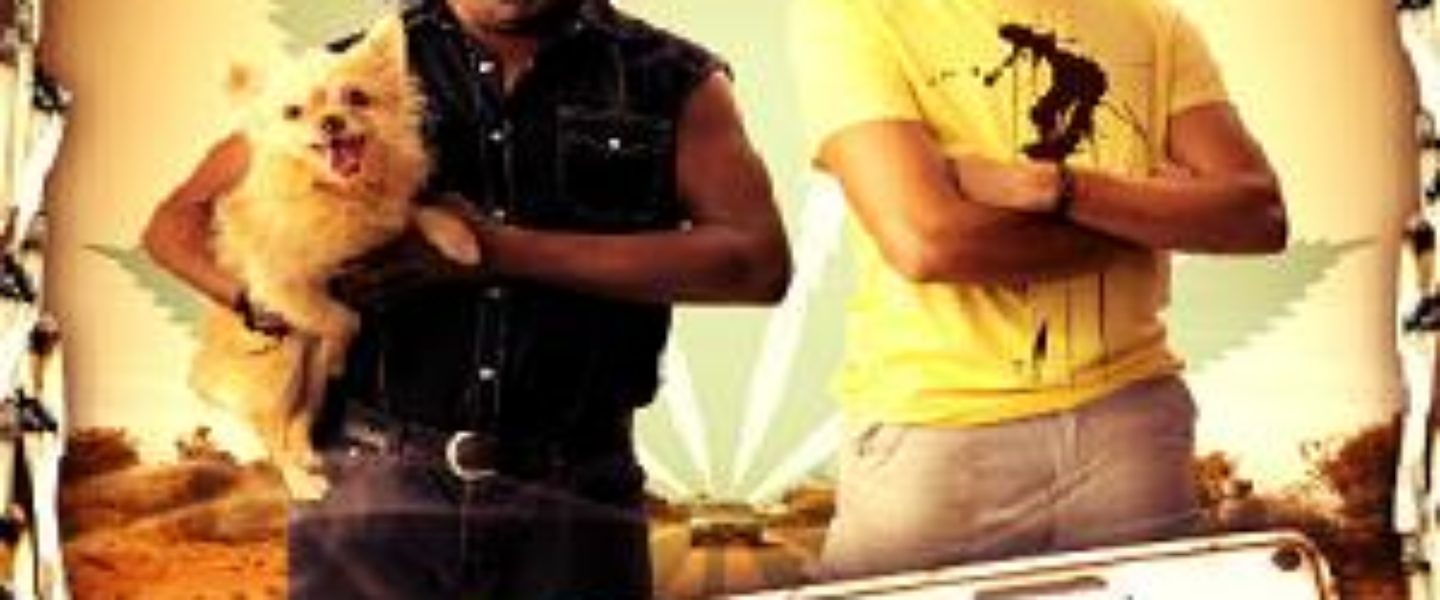 Marijuana Movie Review - Stoned Bros (2013) - The Weed Blog