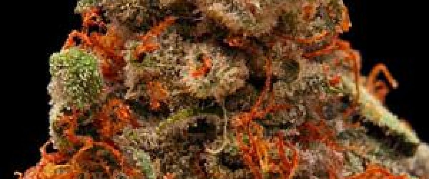 strawberry cough marijuana strain