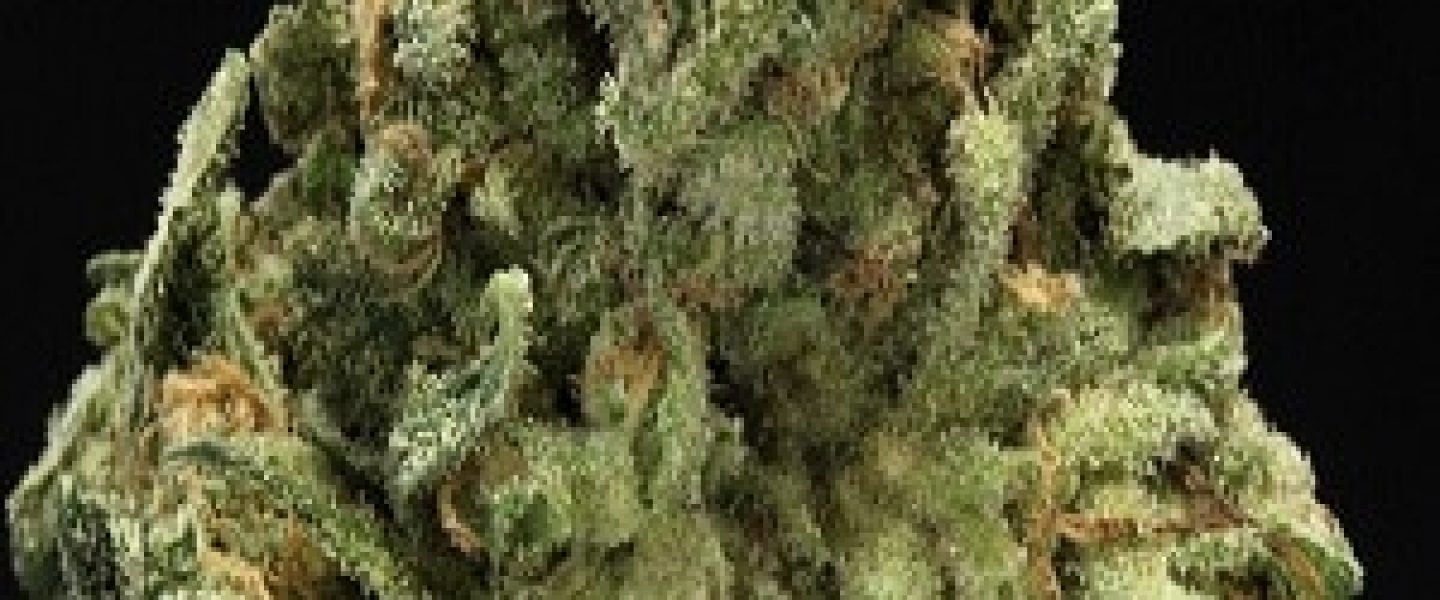 super blue dream marijuana strain