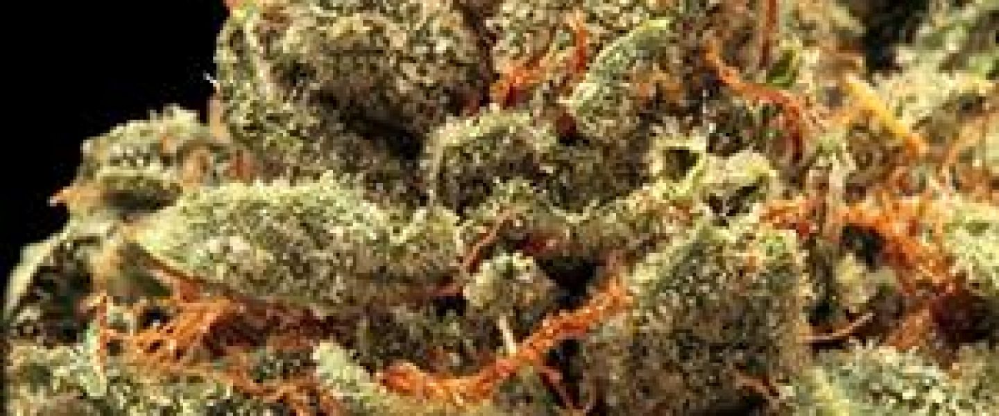 superman kush marijuana strain