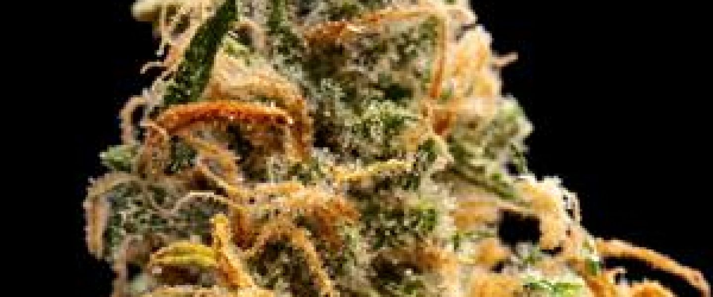 sweet island skunk marijuana strain