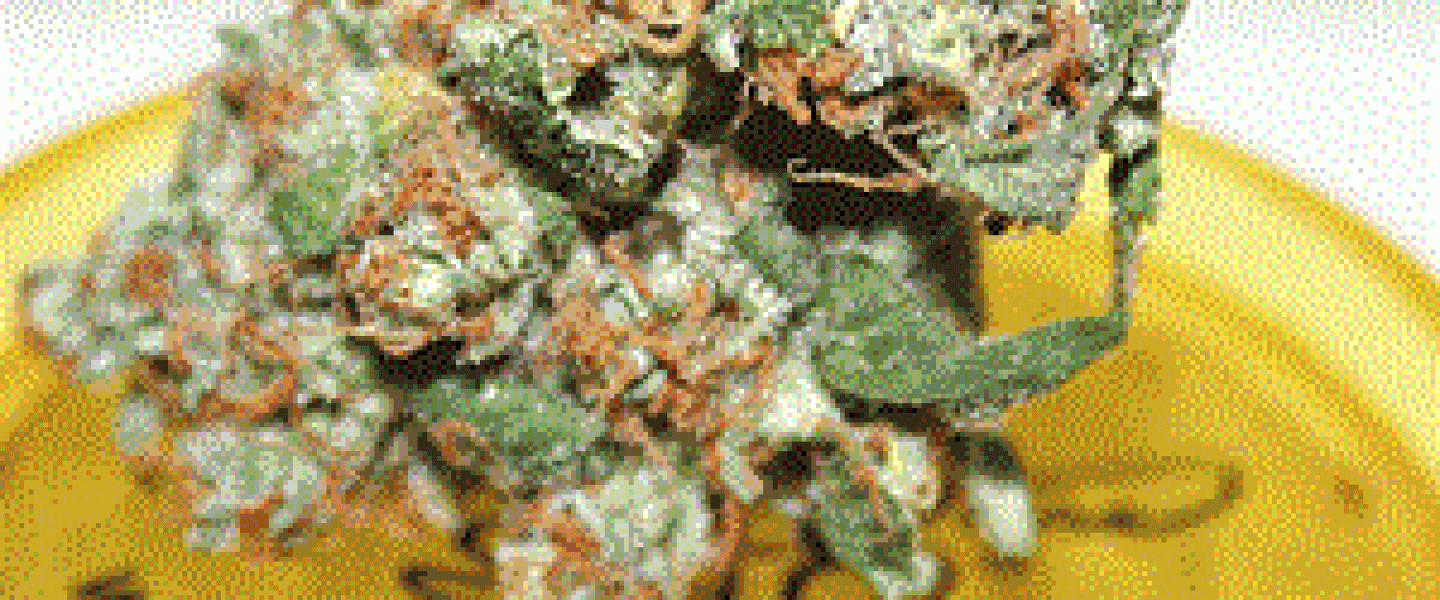 sweet tooth marijuana strain