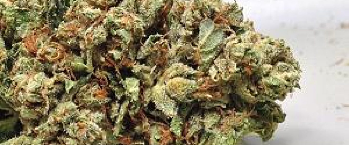tahoe og marijuana strain