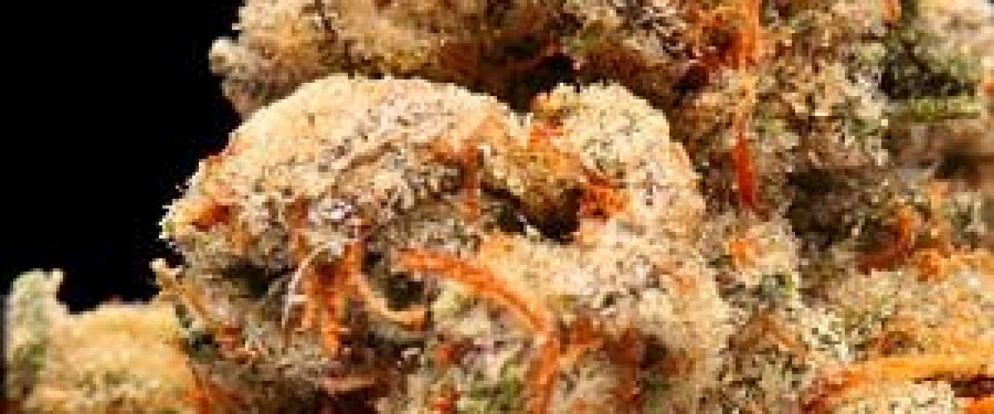 tapout og marijuana strain