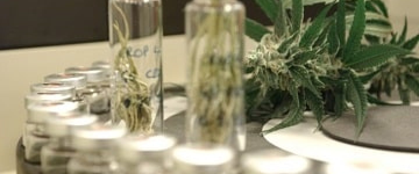 Cannabis Testing Labs