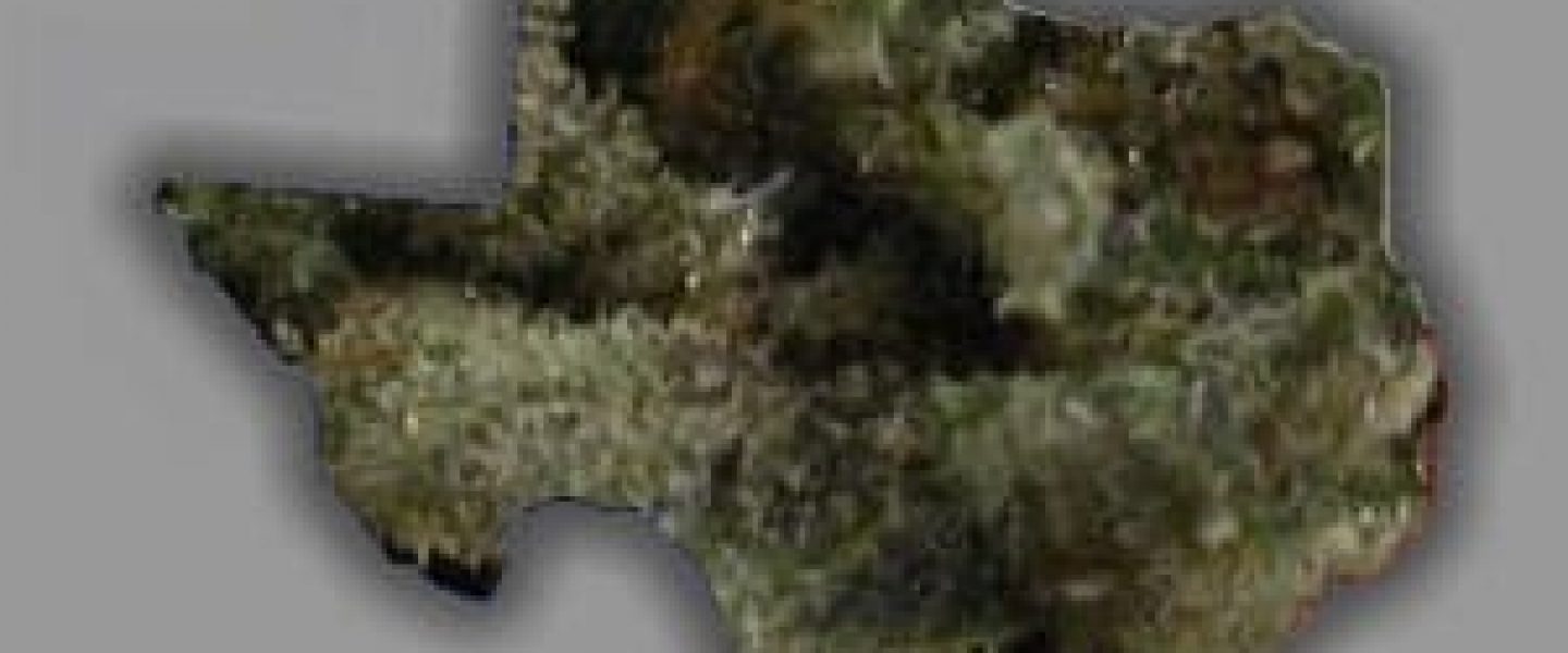 texas marijuana legalization dfw norml