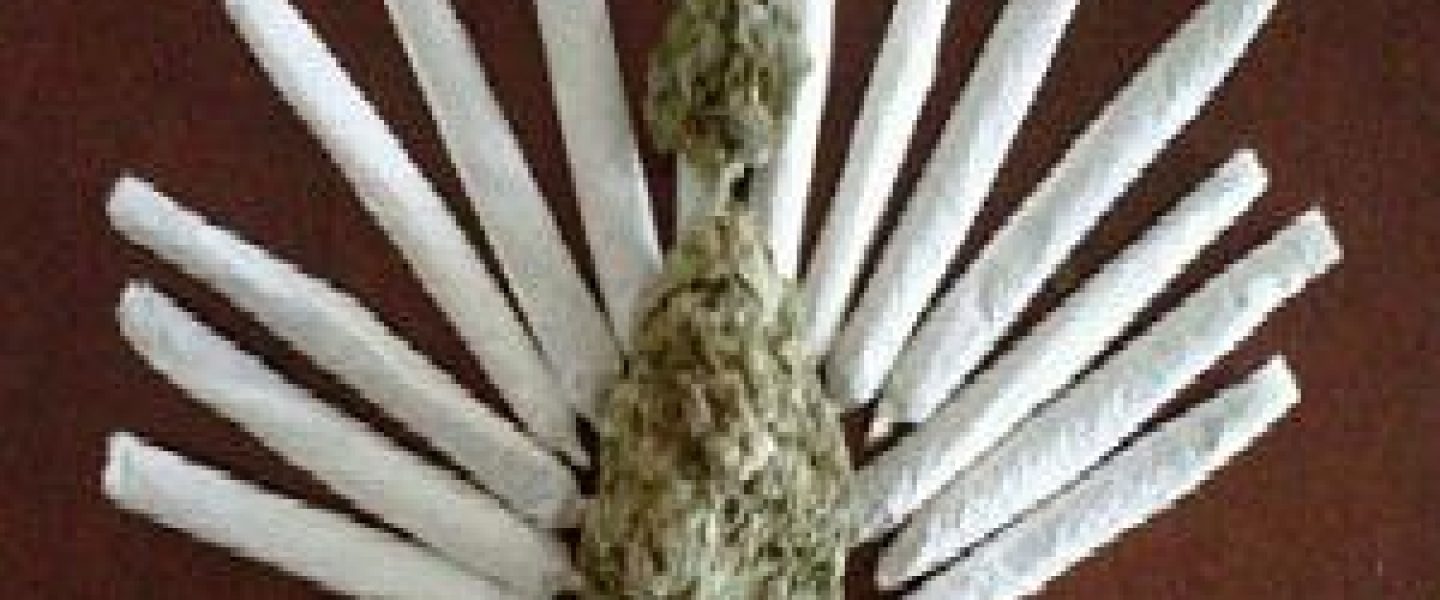 thanksgiving marijuana turkey joint