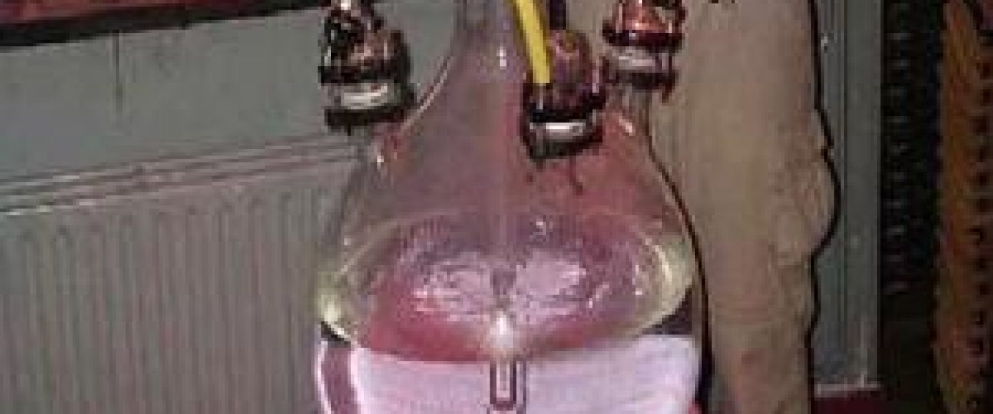 the king of all bongs