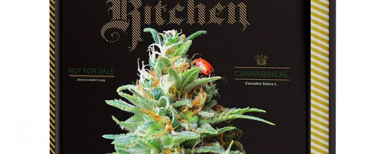 the kitchen marijuana book