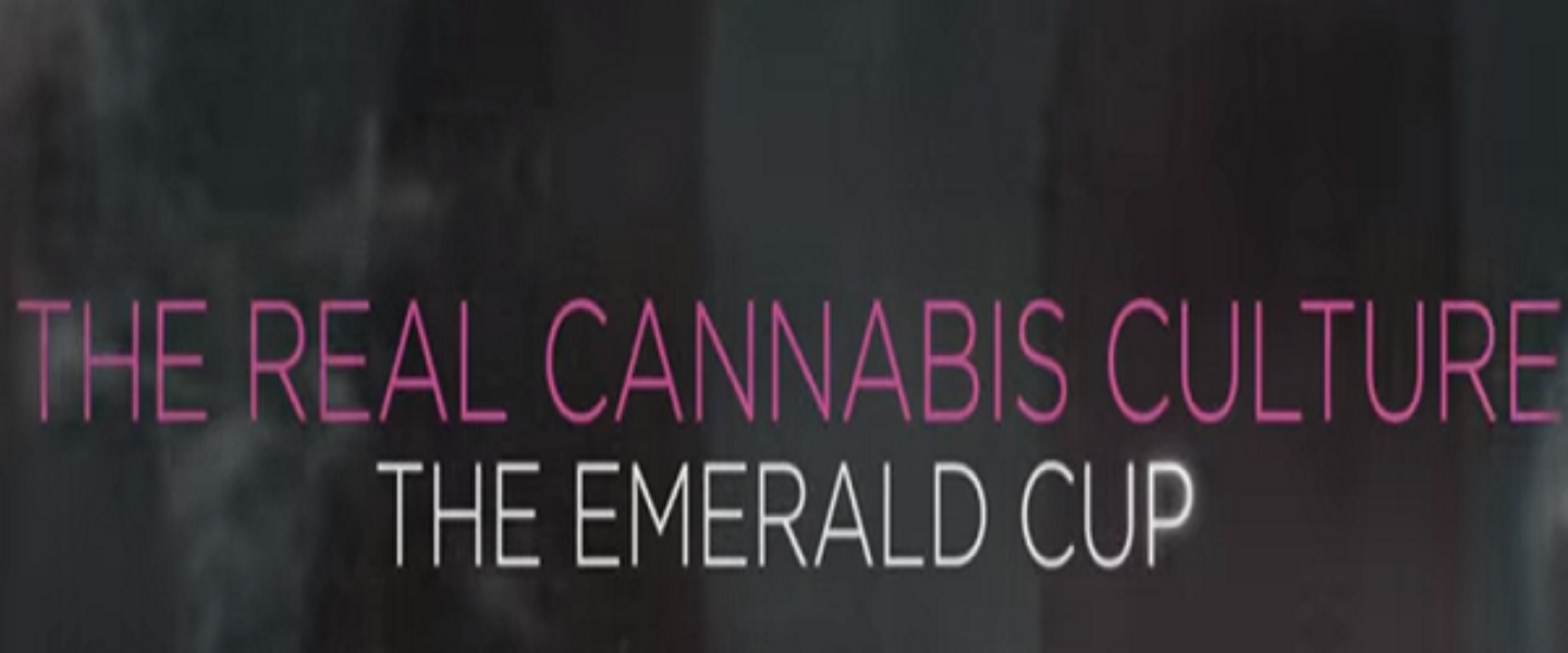 the real cannabis culture emerald cup