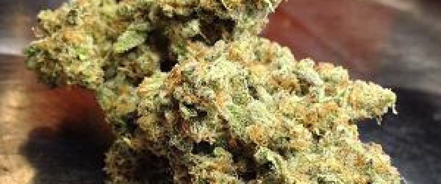 trainwreck marijuana strain