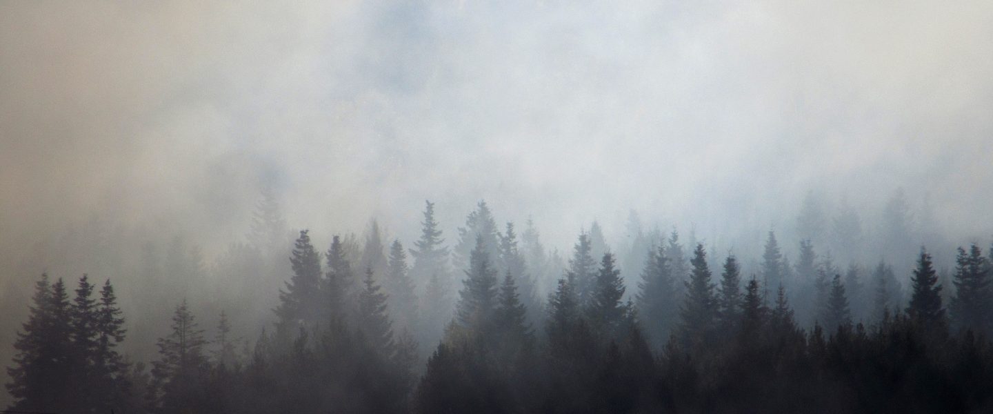 Picture of wildfires burning in California and Oregon.