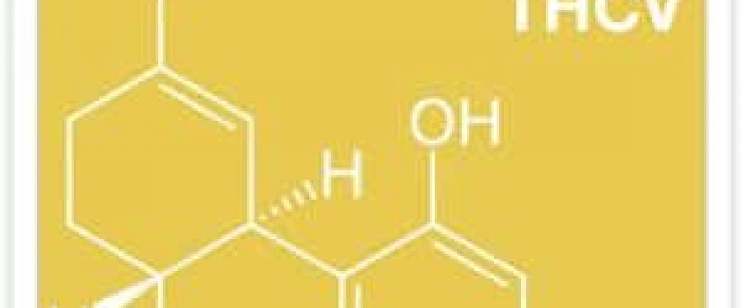 bladder cancer thcv marijuana cannabis