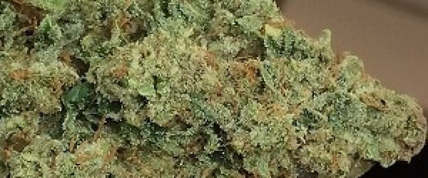 venom og marijuana strain