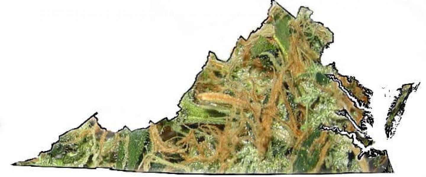 virginia, marijuana, weed