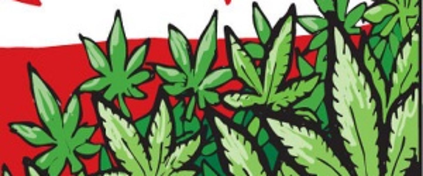 washington dc marijuana legalization