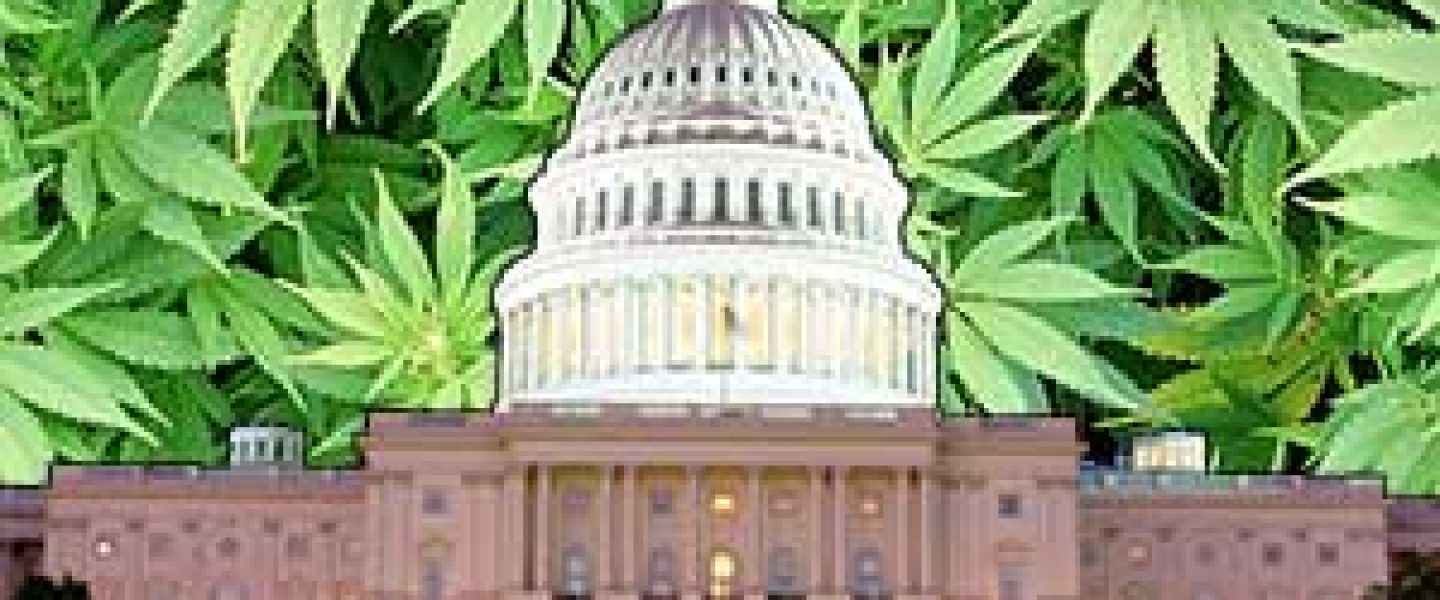 washington dc medical marijuana dispensary