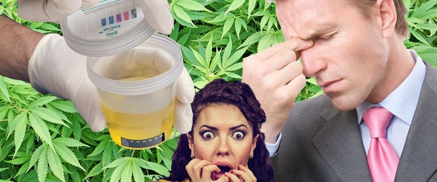 weed-blog_how-to-pass-drug-test_hero-image