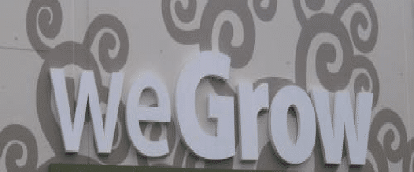 wegrow marijuana