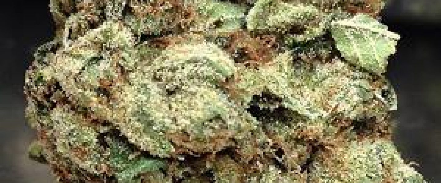 yoda og marijuana strain